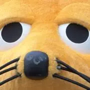 ありアリ蟻の画像