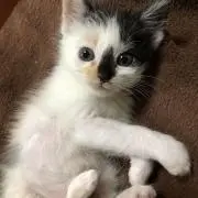 yu-nの画像