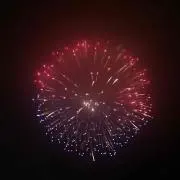 ワイン