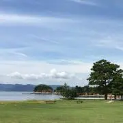 marineの画像