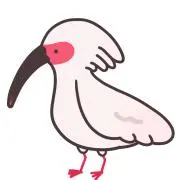 Tokitanの画像