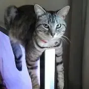 ヒロ