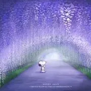 まる子の画像
