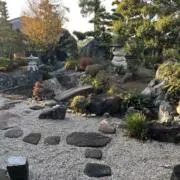 イワサトの画像