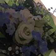 mmの画像