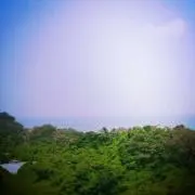 こっこの画像