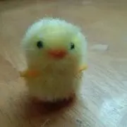 みーつの画像