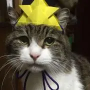 Kayoの画像