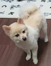 くう
