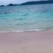 (´・ω・`)の画像