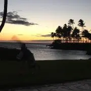 Yの夢の画像