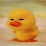 ひよこの画像