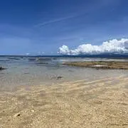 かたぎりの画像
