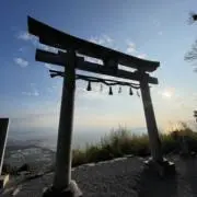 シュンピの画像