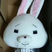 ロッペの画像