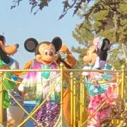 みーこ　プロフ必読お願いします。の画像