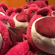 くまの画像