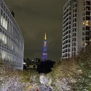 ショウ☆