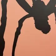 loungeの画像