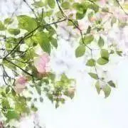 ecir@値下げ依頼もお気軽に♡の画像