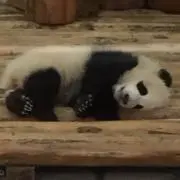 ちいちゃん★の画像