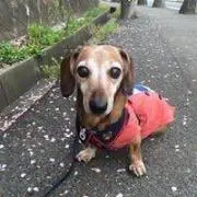 miyukiの画像