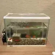 迅速丁寧を心掛けます