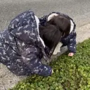 eitの画像