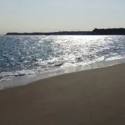くまみの画像
