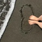 Sakuraの画像