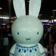 ゆんの画像