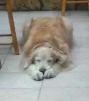 Katieの画像