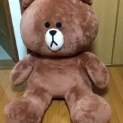 ヒナックスの画像