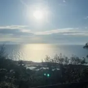kaitoの画像