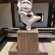 まめの画像