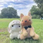 さくらんぼの画像