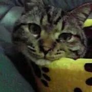 ☆ピンク☆