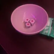 武蔵真