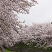 クリスタルの画像