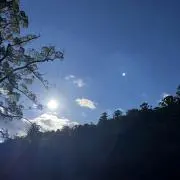 Mの画像