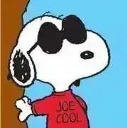 Joe Coolの画像