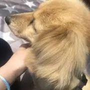 (^^)の画像