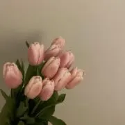 kの画像
