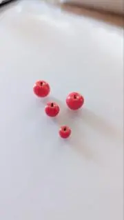 ほちゃの画像