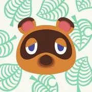 たぬきちの画像