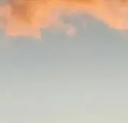 ライチの画像