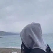 イルカ☆の画像