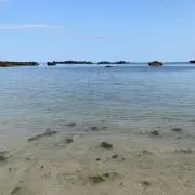 かんぴーママ