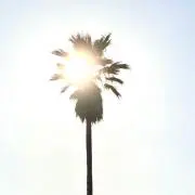 波見