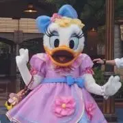 兎
